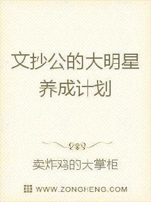 文抄公小说十大巅峰之作，文抄公作品