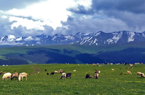 《敕勒歌》怎么念