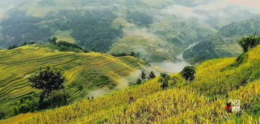 从江天气，从江旅游攻略必去景点