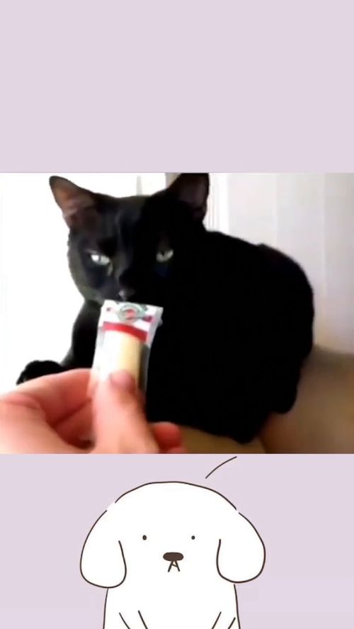 奇怪的什么填空一年级，奇怪的什么什么