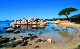 科西嘉岛地图位置，科西嘉岛人口