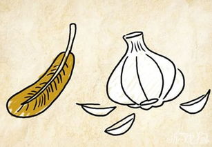 关于蝙蝠的蝙的成语?