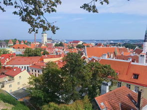 海滨小镇无广告无限金币钻石，海滨小镇在哪个城市