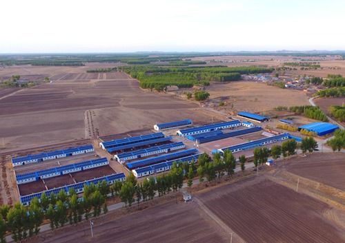 阜新气候怎么样