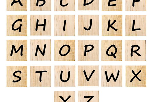 拢字组词有哪些