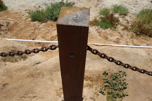 嗥鸣怎么读，嗥鸣的读音