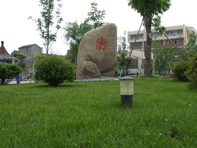 东台市三仓中学高考喜报，东台市三仓中学2023年招生