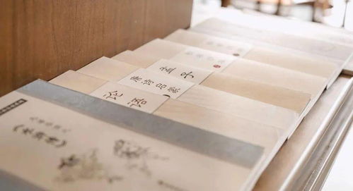 “教之道,贵以专”下一句是什么?