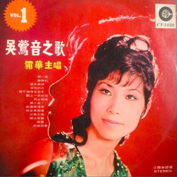 侬本痴情的剧情简介