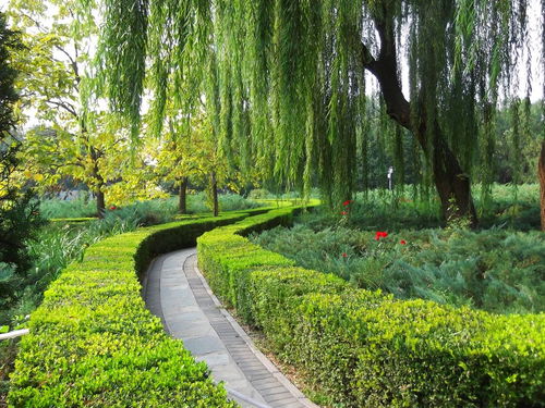 小道童儿童舞蹈，小道士图片