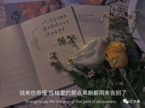 无恙的意思是什么