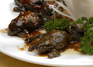 哈什蚂是林蛙吗