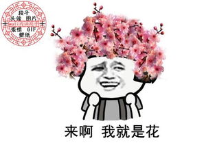 巭孬嫑夯昆什么意思，巭孬嫑夯昆勥茓,嘦勥昆夯茓巭升!