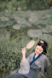 采苹的读音采苹的读音是什么