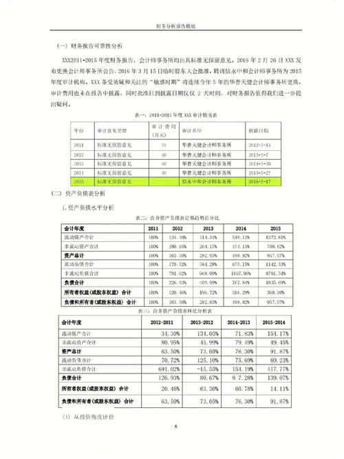 财务分析报告模板 百度网盘，财务分析报告模板ppt 网盘