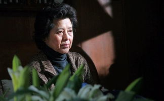 徐蕾蕾个人资料，徐蕾跆拳道