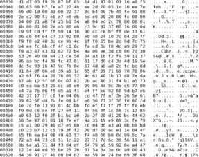 adaption和adaptation的区别是什么?