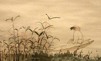 侯家鹧鸪原文及翻译赏析