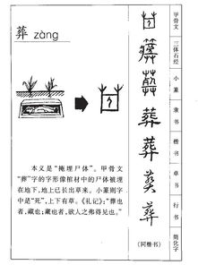 葬组词有哪些词语