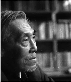 苏金伞三黑和土地简介，苏金伞的诗集有哪些