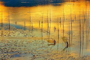 东壁图书府,西园翰墨林,这句子什么意思啊?求注解