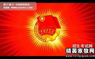 市级优秀团员主要事迹