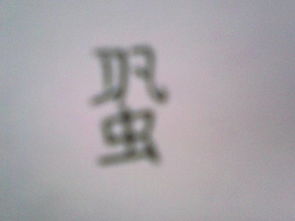 “憎恶”的读音。