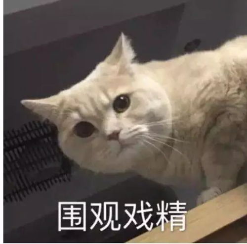 偶尔的意思是什么解释，偶尔的意思是什么词