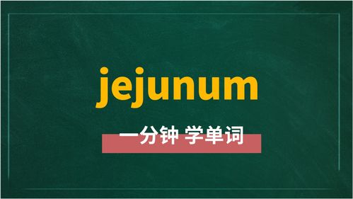 jejunum是什么意思