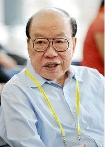 林文镜的四子，林文镜的继承人