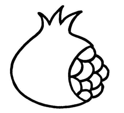 石榴简笔画涂色，石榴简笔画图片大全 彩色