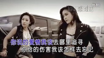 爱情是痛苦是怨恨是什么歌