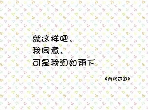 小沈阳 沈春阳 你懂的歌词