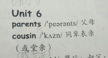 同辈表亲的英语怎么说