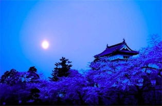 姑苏城外寒山寺的下一句