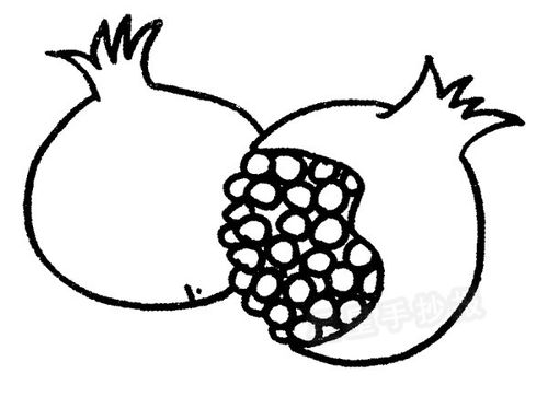 石榴简单画法