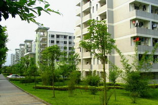 重庆文理学院在哪里