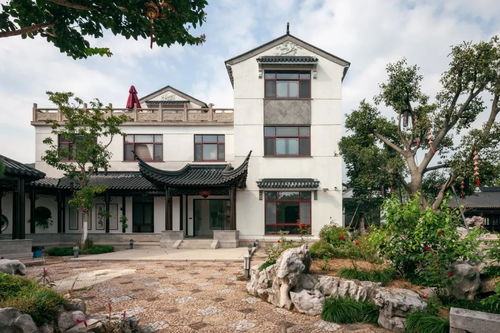 《沁心园.雪》内容