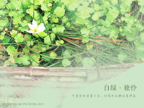 黛绿的拼音狐黛绿的拼音是什么