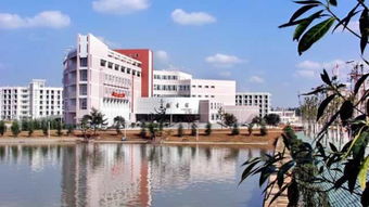 成都都有哪些大学