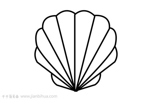 贝壳怎么画简单又漂亮