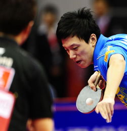 乒乓球国家一队男队名单