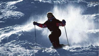 什么是滑雪运动?