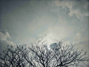 发现身边的美作文