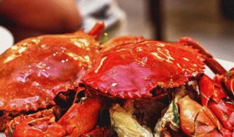 crab的意思和读音，crab是什么意思译