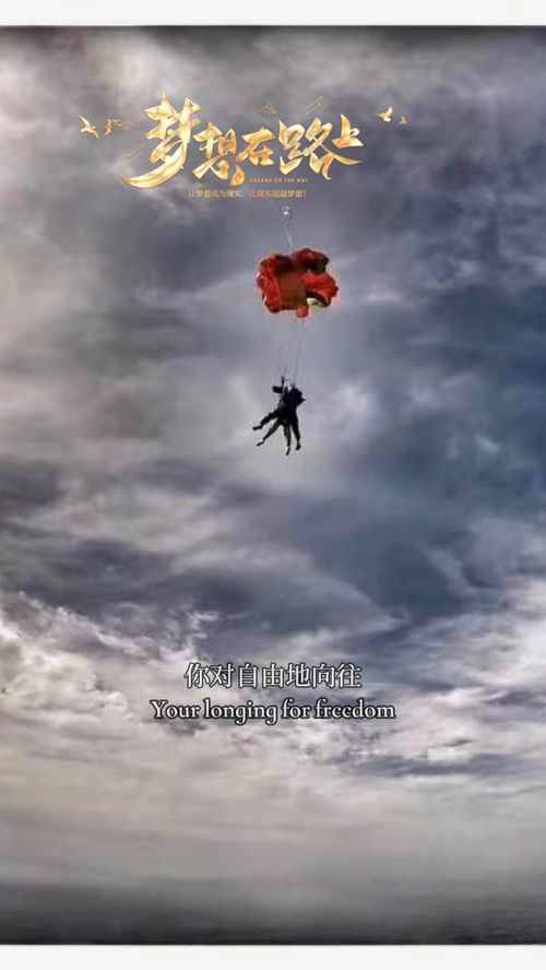 梦想的方向作文800字，梦想的方向曹强强