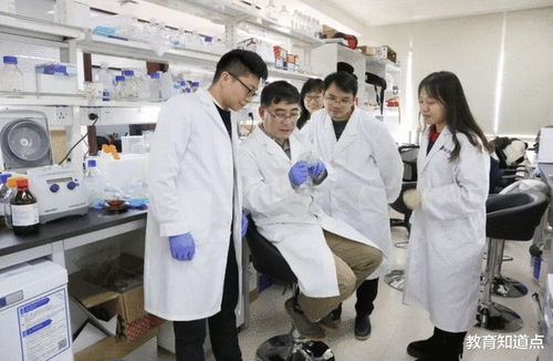 适合懒人的工作不费头脑，适合懒人的工作知乎