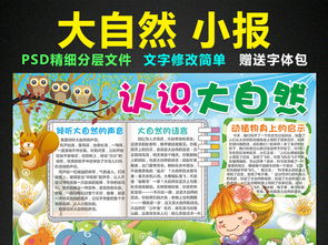 保护大自然手抄报内容