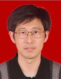 fibrous tissue，fibrous joint