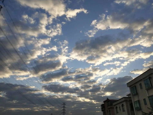 发现身边的美好文案，发现身边的美作文300字